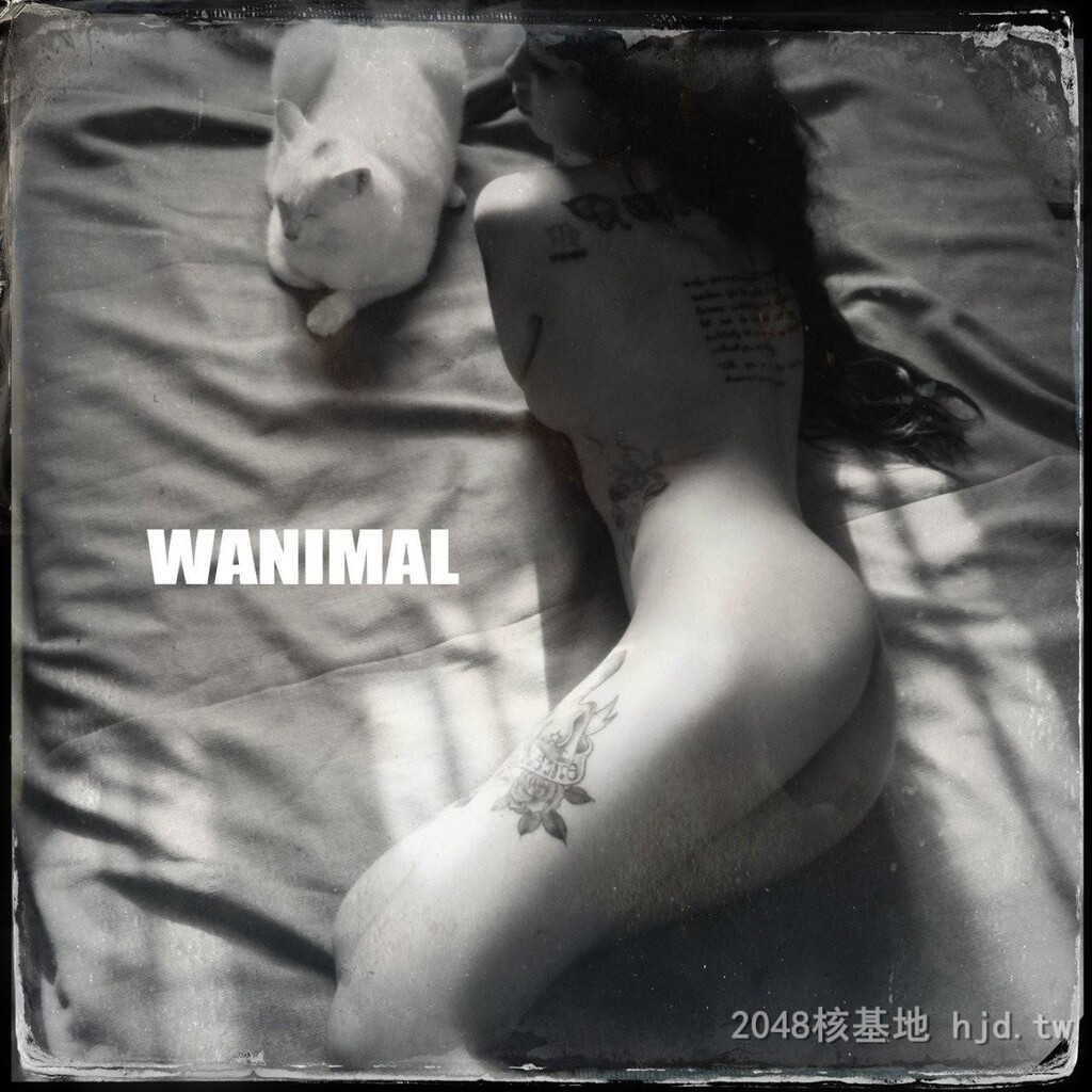 王动WANIMAL作品56[10p]第1页 作者:Publisher 帖子ID:273256 TAG:自拍图片,網友自拍,2048核基地